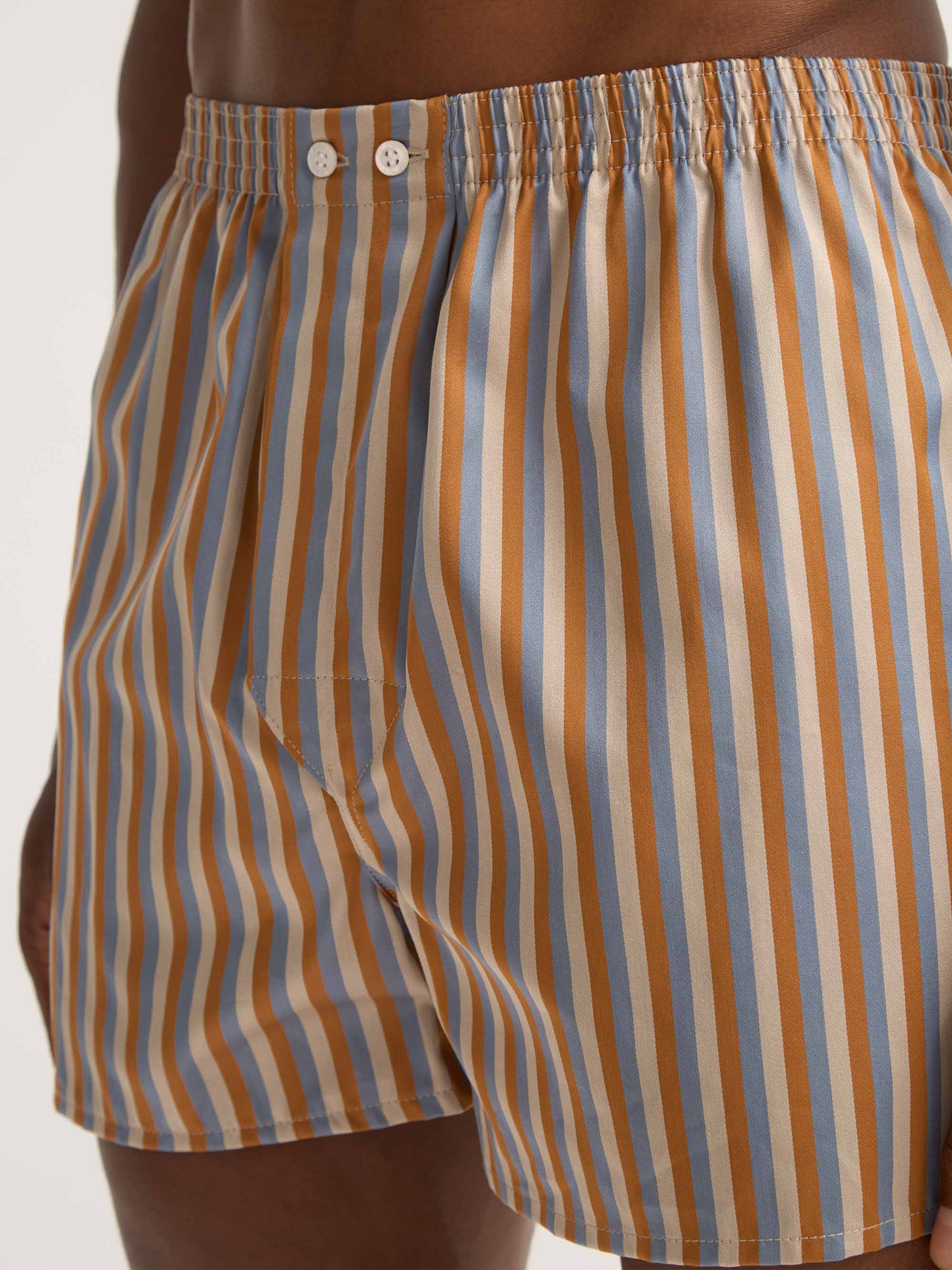 Men's Classic Fit Boxers Wellington Cotton Brown and Blue Multicolour Stripe - Image 5